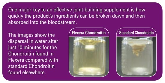 Flexera Chondroitin superior absorption