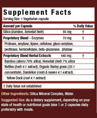SuperSilica Plus supplement facts