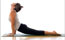 Stress managment for estrogen dominance management