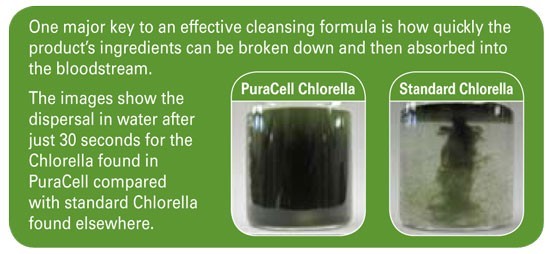 PuraCell Cracked Wall Chlorella Absorption