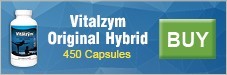 Buy Vitalzym Original Hybrid 450 Caps