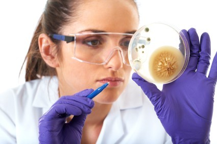 in vitro lab test confirm n-fused candida kills candida