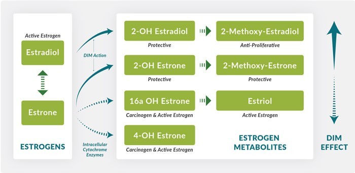 Dim Pro Estrogen Metabolism Support Energetic Nutrition