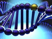Enhance Optimizes DNA Function
