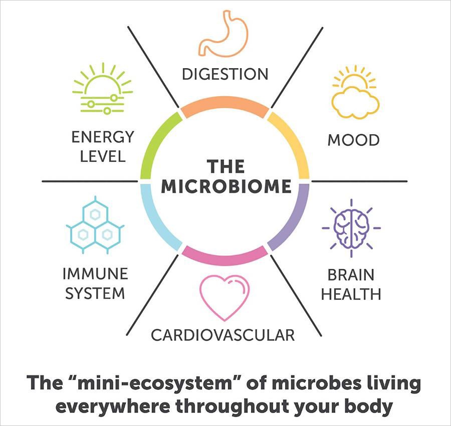 The Microbiome Mini Ecosystem