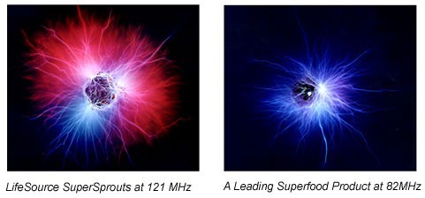 Lifesource Kirlian Photography Comparison