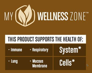 Brown Bee Propolis - My Wellness Zone