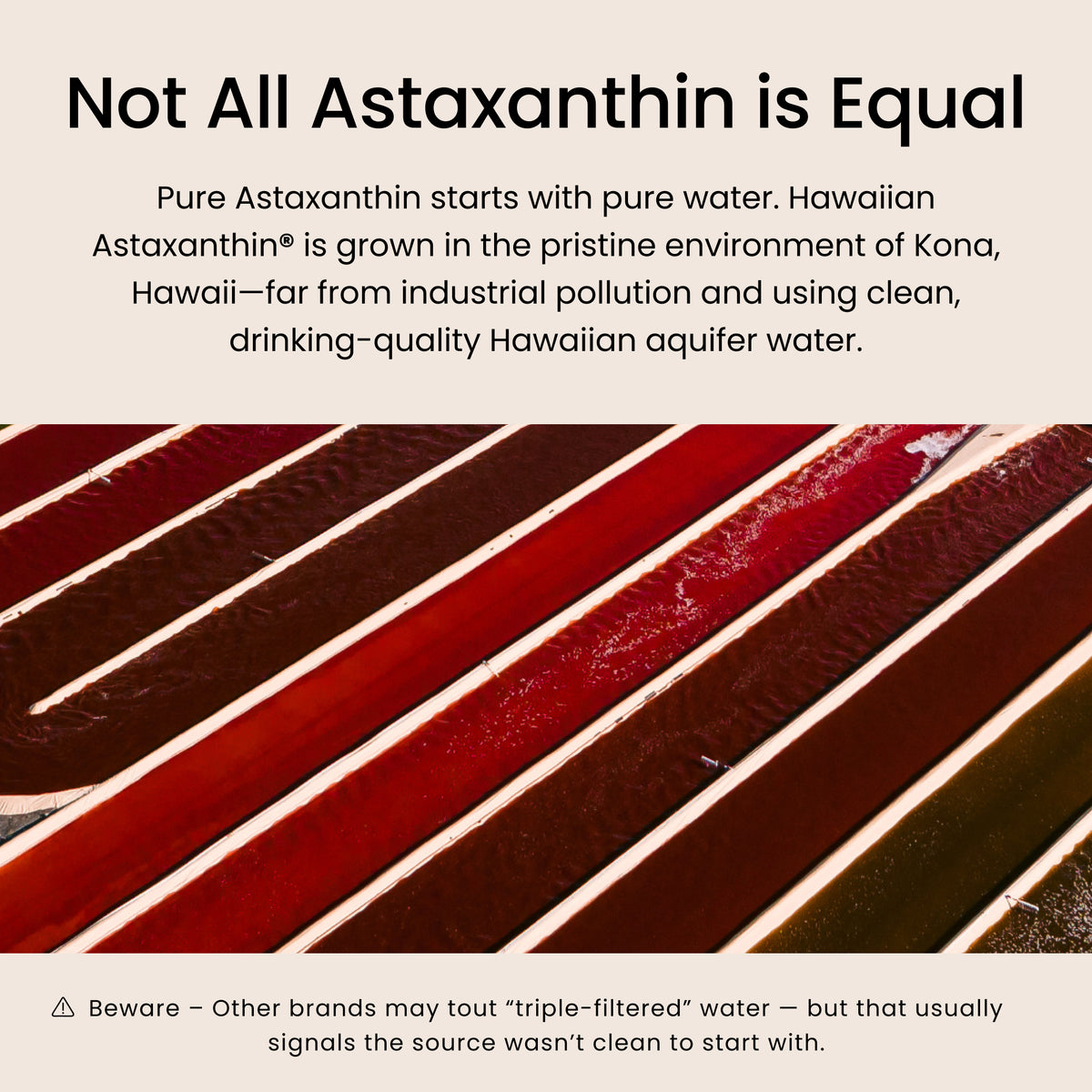 BioAstin not all Astaxanthin is equal