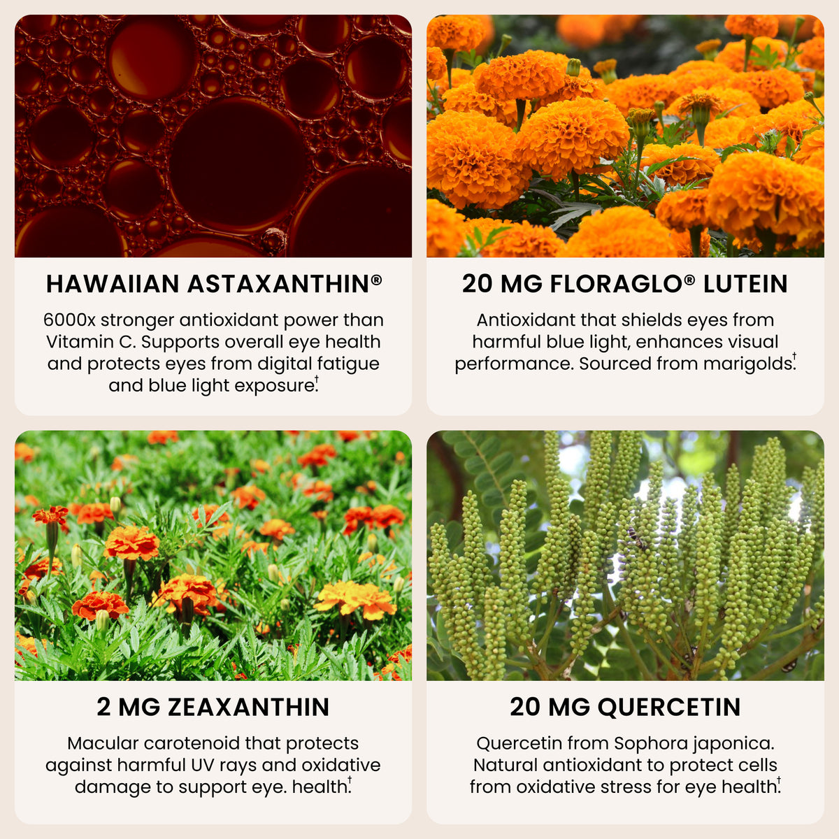 EyeAstin ingredients astaxanthin lutein zeaxanthin quercetin