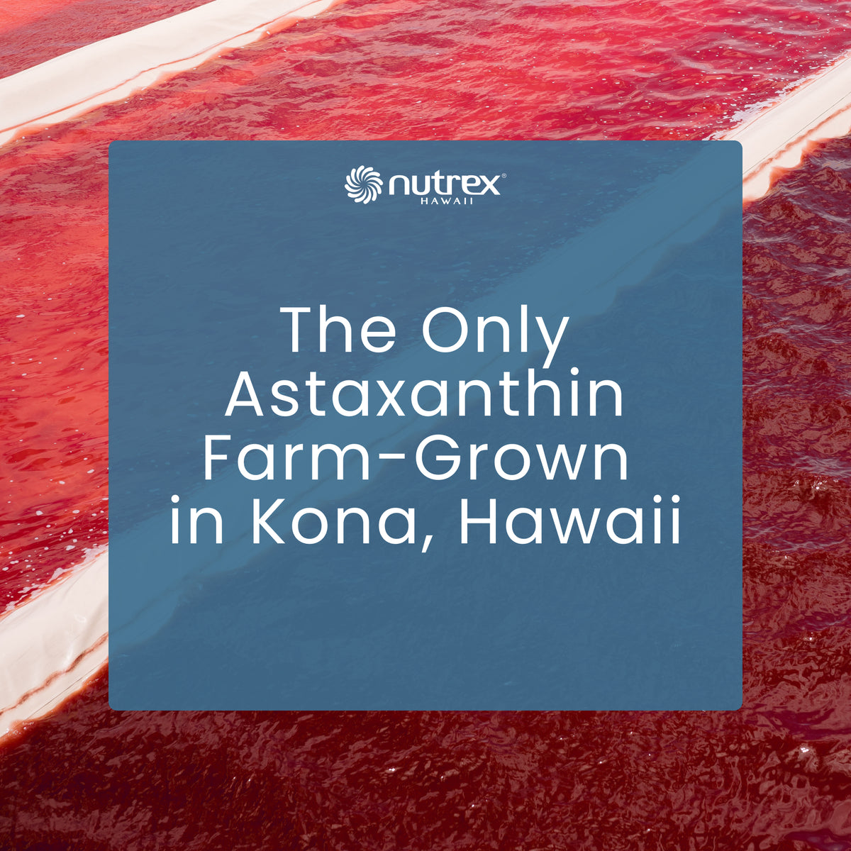 Farm Grown Astaxanthin