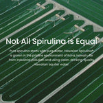Nutrex not all spirulina is equal