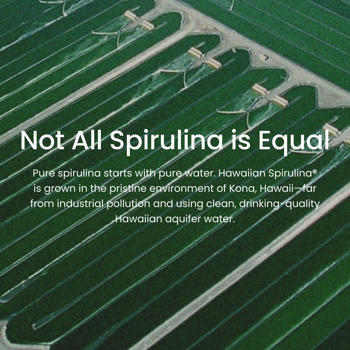 Nutrex not all spirulina is equal