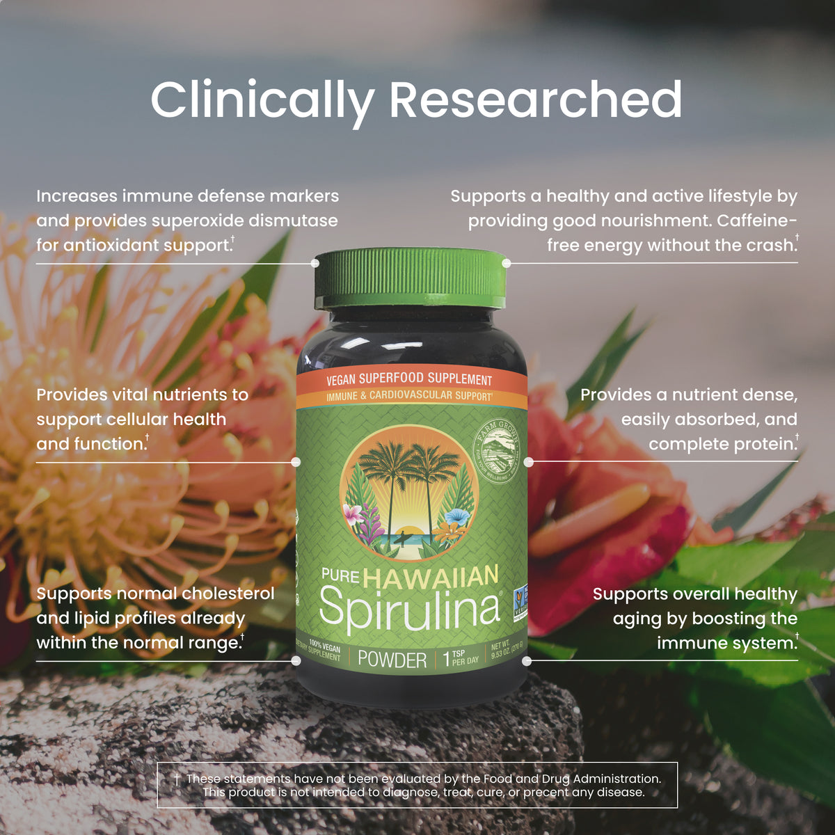 Spirulina Powder clincially researched