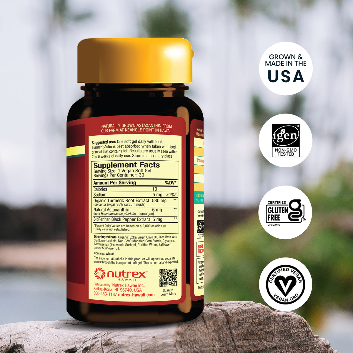 Turmeric Astin supplement facts and icons