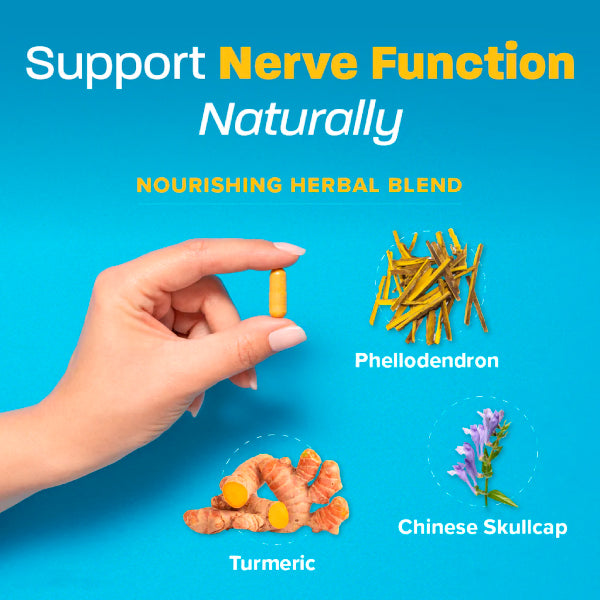 nerve shield ingredients