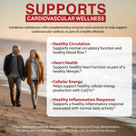 vitalzym cardio infographic benefits