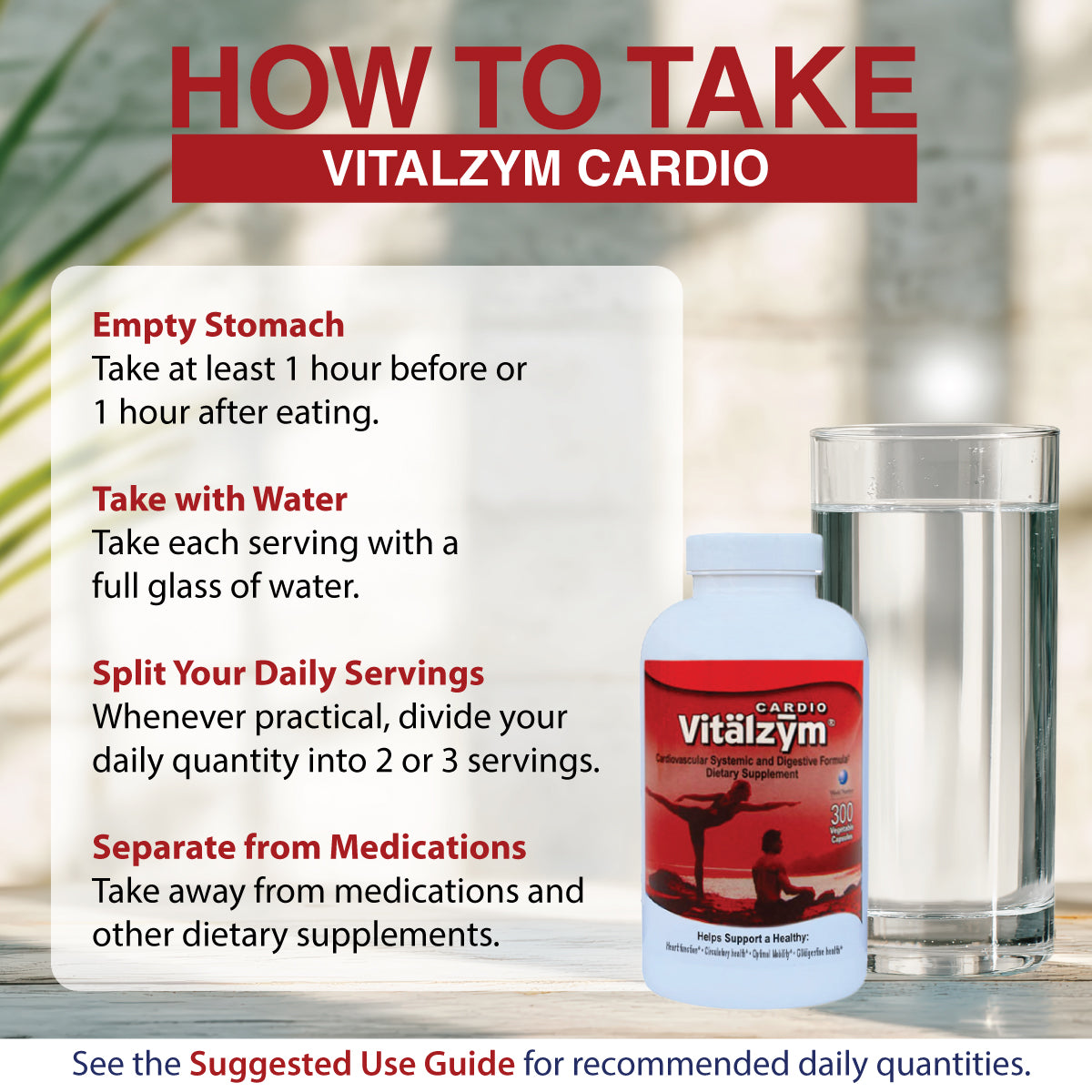 vitalzym cardio infographic how to take