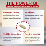 vitalzym cardio infographic ingredients