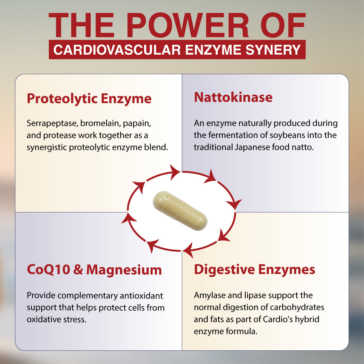 vitalzym cardio infographic ingredients