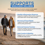 vitalzym original infographic benefits