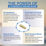 vitalzym original infographic ingredients