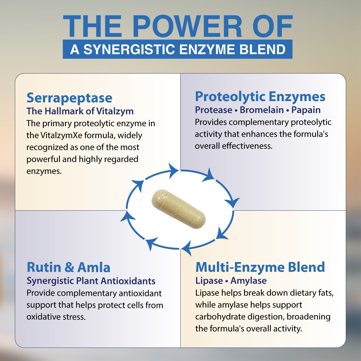 vitalzym original infographic ingredients