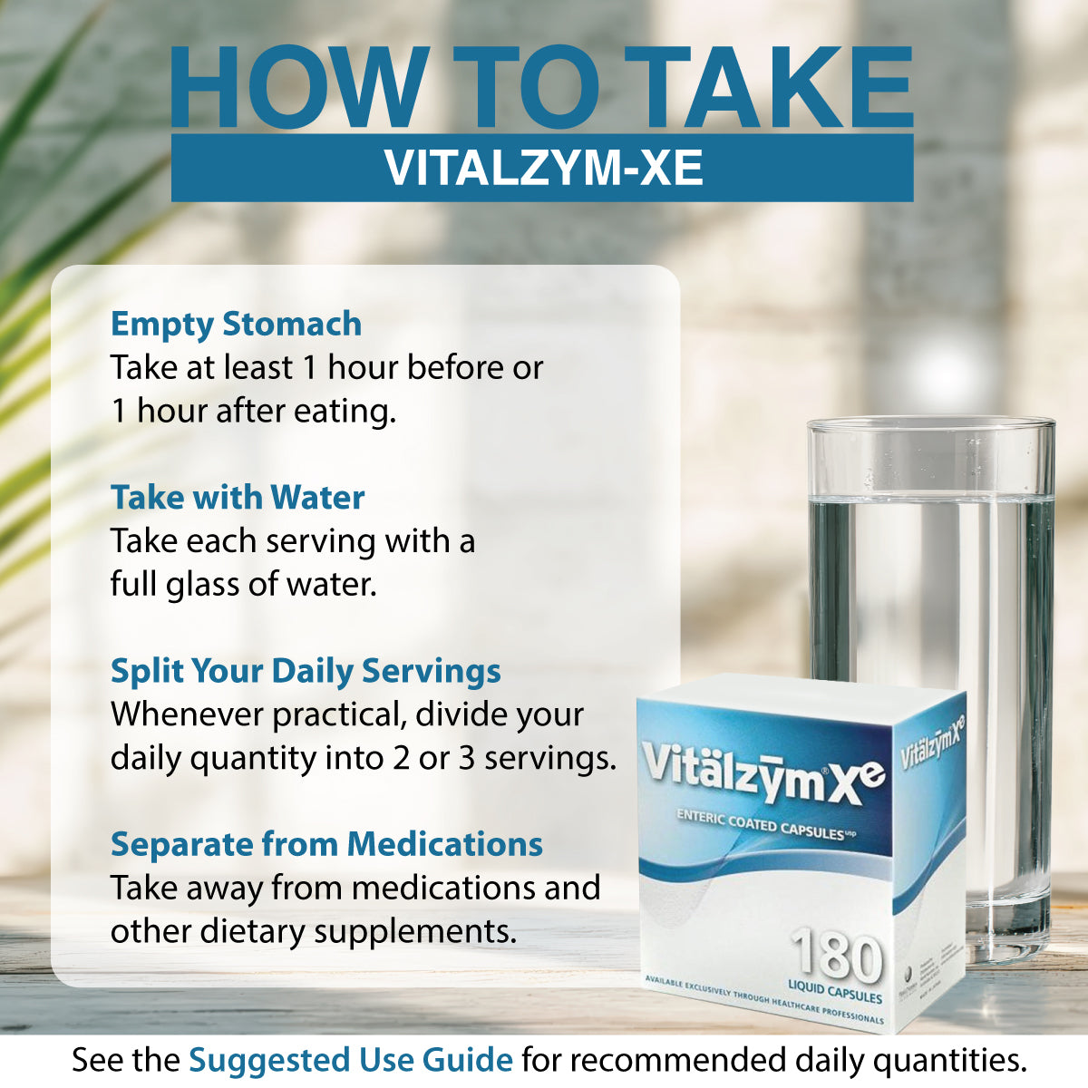 vitalzymxe infographic how to take