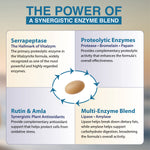 vitalzymxe infographic ingredients