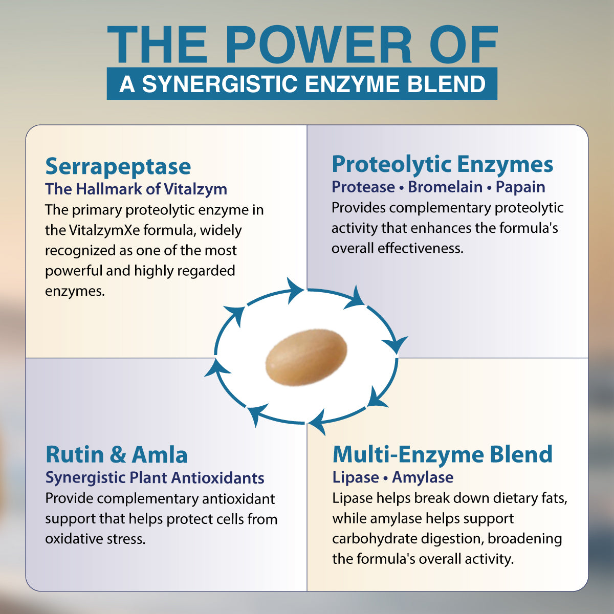 vitalzymxe infographic ingredients