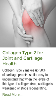 Collagen Type 2 for Joint Health