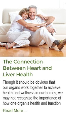 The Connection Between Heart and Liver Health